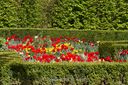 Britzer_Garten-047~0.jpg